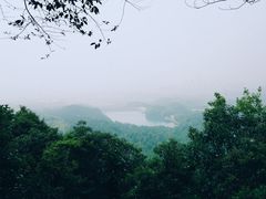 -大奇山国家森林公园
