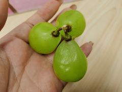 -鲜力达果品批发直销(青山店)