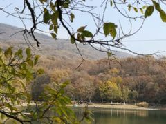 -紫霞湖公园