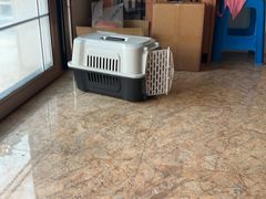 -四月宠物医院·猫专科·心脏专科·内科(转塘店)