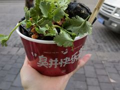 -黑色经典臭豆腐·湖南特产(坡子街店)