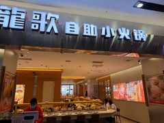 -龍歌自助小火锅(市南金茂湾店)