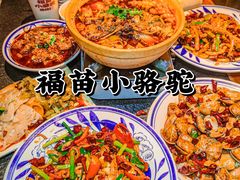 -福苗小骆驼烧烤(大唐不夜城店)