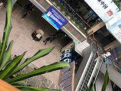 -上海市东方医院(总院)