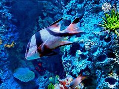 -沈阳海洋探索中心