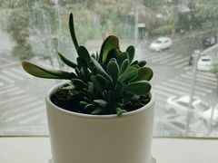 -便宜坊烤鸭店(贵园里店)