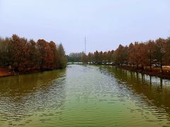 -上海海湾国家森林公园