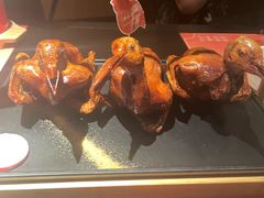 -羽鸽集·乳鸽专门店·地道顺德菜(岭南站店)
