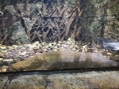 -古龙峡云天玻霸
