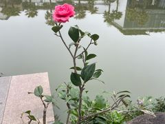 -桃园农庄·桃源宴