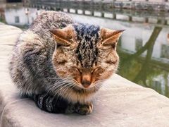 -山塘街