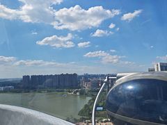 -海合安武汉极地海洋公园