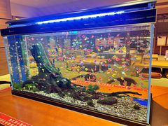 -大江户·温泉洗浴(浑南店)