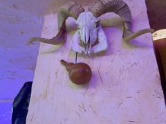 -可可大虾武汉土菜大排档(万松园1店)