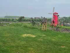 -美家乐农庄·露营·团建(大治路店)