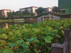 -西海子公园