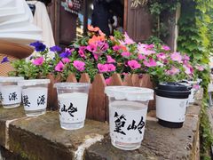 -篁岭景区