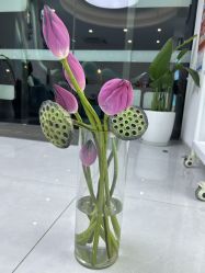 -斐尔国际皮肤管理中心