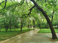 -元大都城垣遗址公园