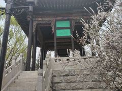 -沈阳植物园