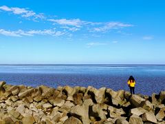 -南汇嘴观海公园