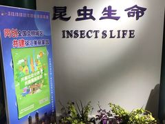 -上海昆虫博物馆