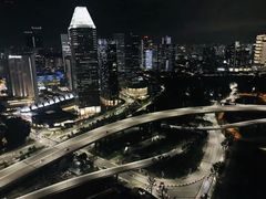 -新加坡摩天观景轮