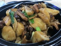 -新合益乡村农庄