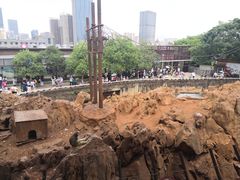 -昆明动物园