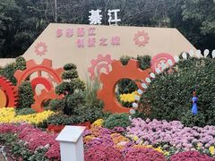 -南山植物园