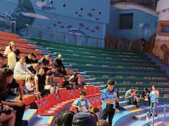 -烟台海昌鲸鲨海洋公园