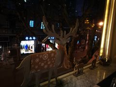 -蝶舍·MAISON PAPILLON