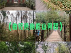 -凤栖山