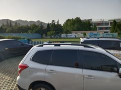 -趣玩宠物乐园寄养训犬训狗游泳池