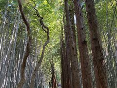-同里国家湿地公园