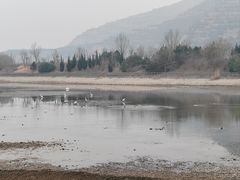 -函谷关历史文化旅游区
