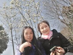 -玉山公园