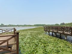 -上海海湾国家森林公园