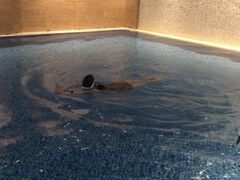 -斯博特游泳俱乐部(永安里店)