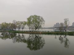 -金银湖国家城市湿地公园