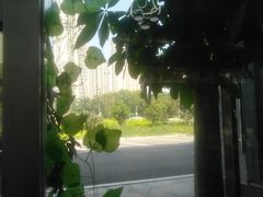 -一代菌王·竹荪鹅(江苏旗舰店)