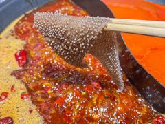 -楠火锅(绿地新都会店)