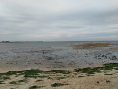 -北海金海湾红树林生态旅游区