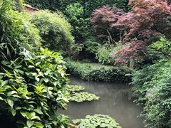 -中国茶叶博物馆(双峰馆区)