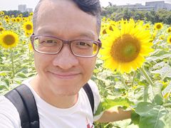 -光明小镇欢乐田园
