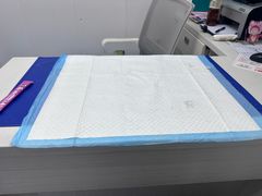 -博特宠物医院24h犬猫全科.骨科·异宠