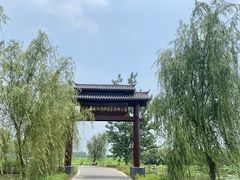 -池杉湖湿地公园