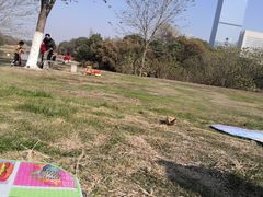 -艾溪湖湿地公园