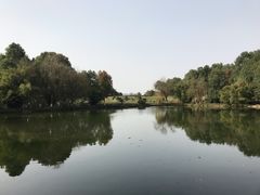 -邓小平故里