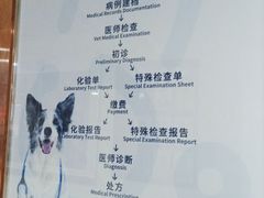 -宠颐生宠物医院外科·内科·皮肤科·影像科(石龙店)
